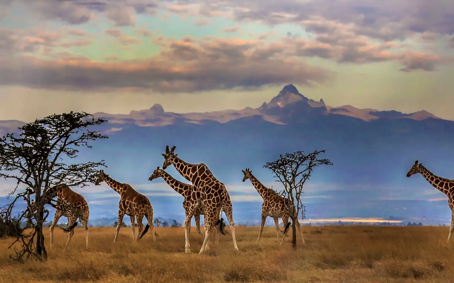 DATA LED: Digital Nomad popularity skyrockets